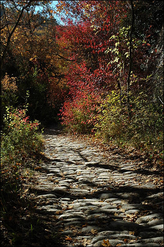 Roman paved trail down in Buoux, Luberon, Provence