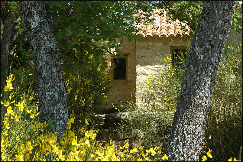 Gite to rent in Provence nested in the oaks