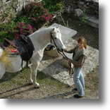 Equitation et randonnées à cheval en Luberon, Provence