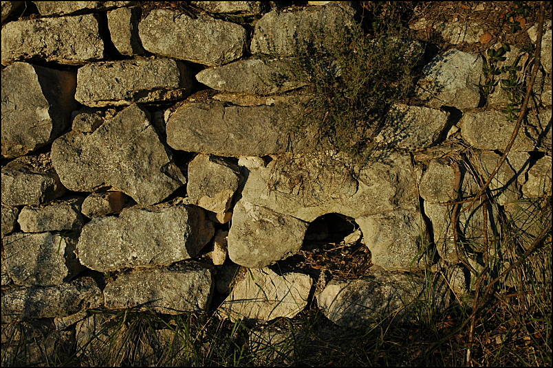 An ancient springs to water the terraces