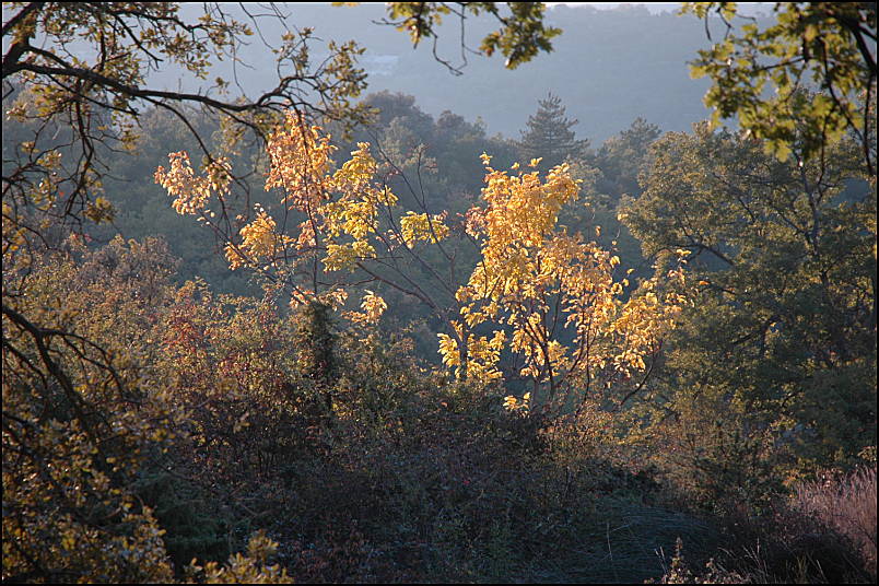 Lumire dautomne, Buoux, Provence