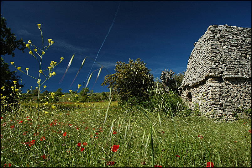 Borie on the Claparedes, Buoux in Luberon, Provence