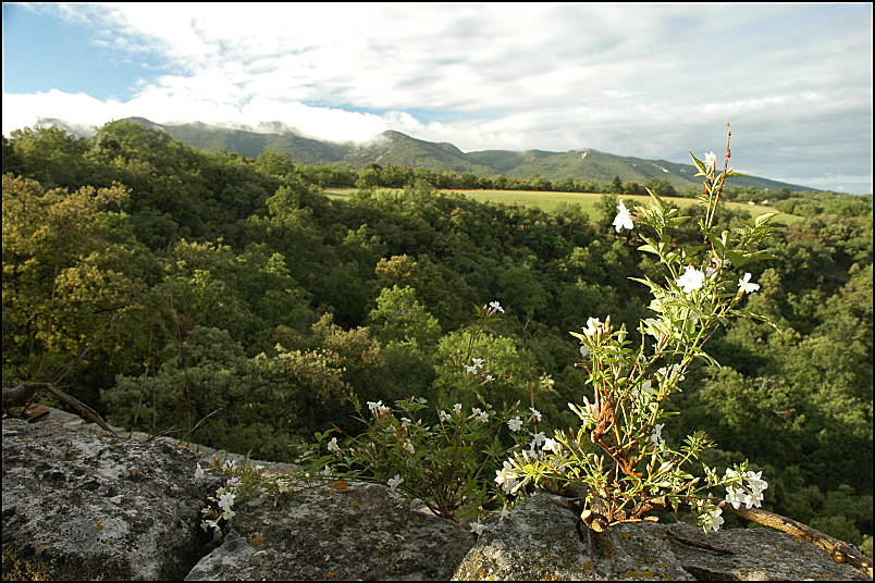 Views accross the gite on a crisp morning