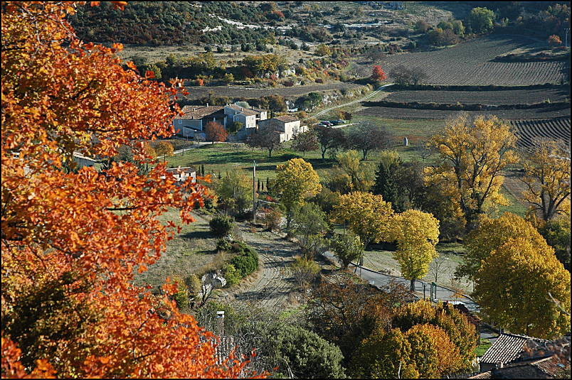 Le vallon de la Loube   Buoux