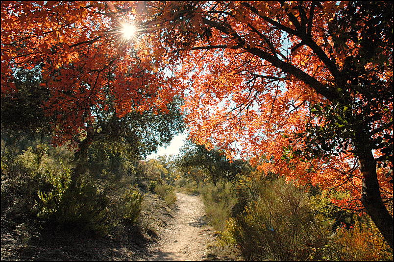 Walking trails nearby in the Fall