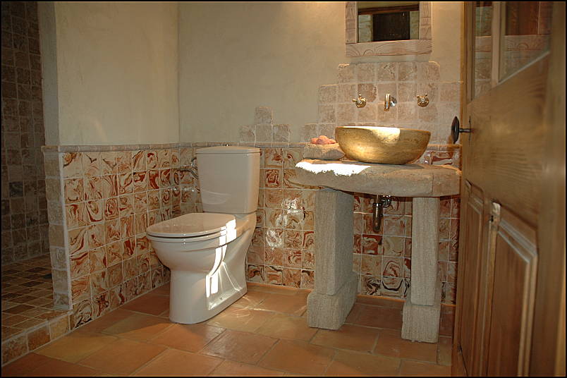 Master bathroom - Gite rental in Luberon