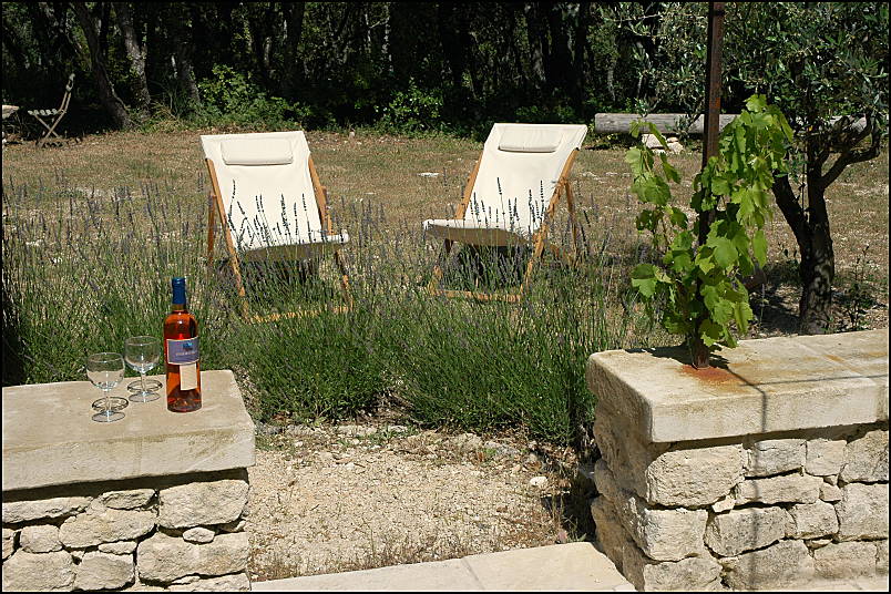 Relax near the olive trees