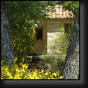 Gite to rent in Provence nested in the oaks