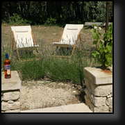 Relax near the olive trees