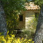 Vacation gite to rent nested in the oaks in Provence, Luberon