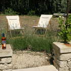 Gite en Luberon, terrasse en pierre, vigne et oliviers